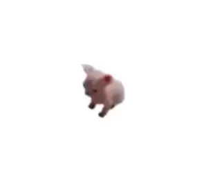 Watanegui Consup 🤣🐛🕺🏻#CapCut #sopadecaracol #gatostiktok #gatos #fyppppppppppppppppppppppp #gatosgraciosos #gatitos #memestiktok #musica #dance #bailar #Cumbia #fypage #foryourpage 