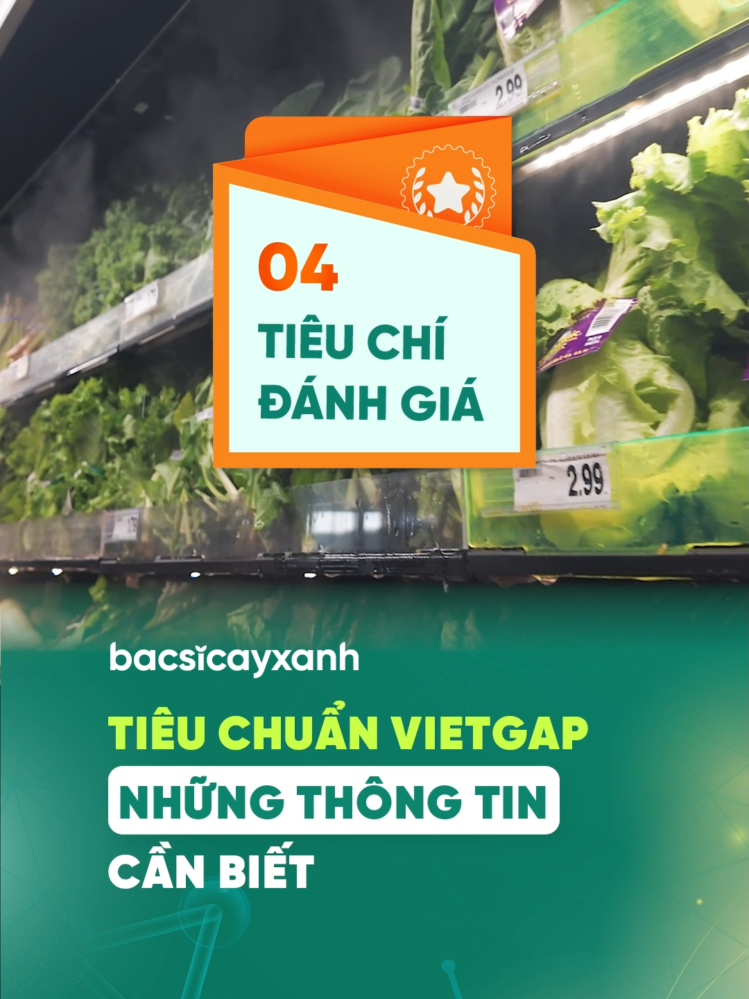 Chứng nhận VietGAP gồm những tiêu chí nào?  #vietgap #chungnhanvietgap #chephamsinhhoc #nongnghiepbenvung #bacsicayxanh #trongcaycungbacsicayxanh  VietGAP là bộ tiêu chuẩn được người tiêu dùng quan tâm khi lựa chọn nông sản để tiêu thụ. 👉 Tiêu chuẩn VietGAP là chứng nhận quy trình sản xuất thực phẩm sạch, được Bộ NN&PTNT ban hành, nhằm đề ra các tiêu chí để xác minh, đánh giá an toàn cho đầu ra nông sản.  🌿 Vậy cụ thể những tiêu chí đánh giá đó là gì? Và chứng nhận VietGAP mang lại lợi ích gì cho người sản xuất và người tiêu dùng?  >> Mời bà con cùng BSCX xem hết video sau đây để có được câu trả lời nhé!