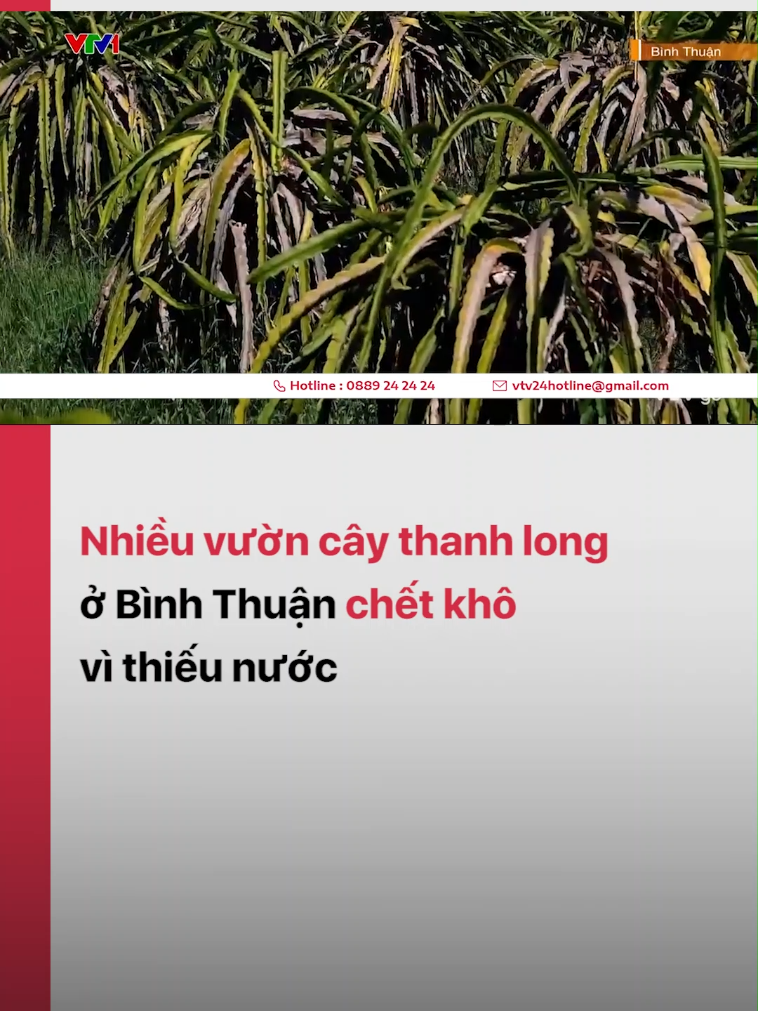 Tại Bình Thuận, 7 tháng qua, người dân ở huyện Hàm Thuận Nam không đón được cơn mưa nào. Cũng đã hơn 2 tháng, hồ chứa nước và các nhánh sông cạn trơ đáy #vtv24 #vtvdigital #tiktoknews #binhthuan #hanhan