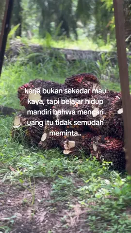 smngat lah bhan ny😇#katakatabijak #sadstory #videosawit #sawitontiktok #sawit #masukberanda #bismillahfyp 