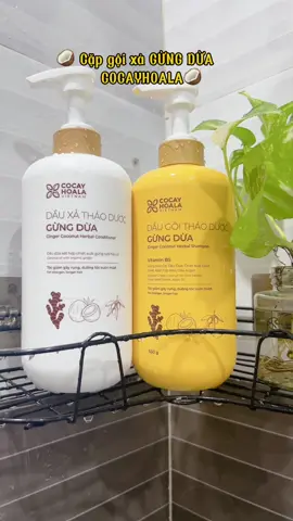 Giá như biết em gội xả này sớm hơn nè🥥🌿🥥🌿🌿 #cocayhoala #goixahuuco #goixathaoduoc #chamsoctoc #daugoicocayhoala #reviewlamdep #nghiatruongreview 
