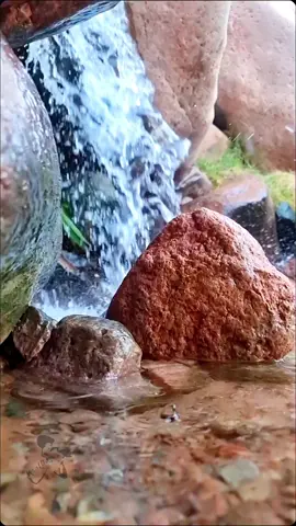 #اللهم_صل_وسلم_على_نبينا_محمد #الجمعه #عبدالله_الحربي #المدينه_المنوره #من_الطبيعه 