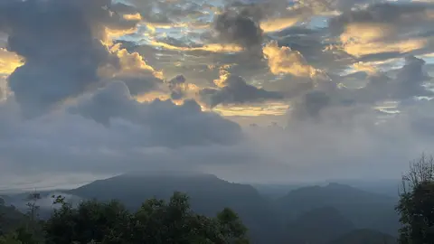 ถ้ามีโอกาสอยากให้ทุกคนไปฮีลใจ 🍃🌤️ #เทรนด์วันนี้ #คลิปแรก #ธรรมชาติ  #วิวหลักล้าน #เชียงใหม่  #ดอยอ่างขาง 