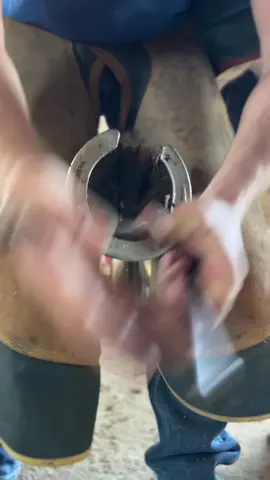Just straight up vibing 🕺 #farriersoftiktok #farrier #forfarriersbyfarriers #fyp #viral 