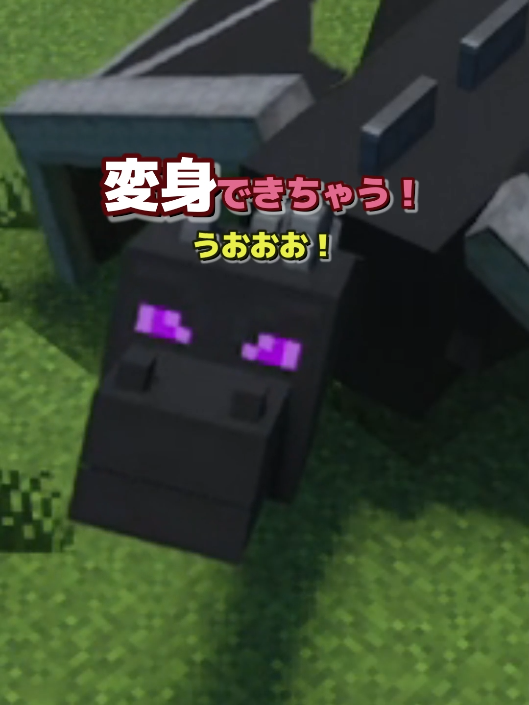 今日から君がウォーデンだ！ #マイクラ #マイクラ統合版 #アドオン紹介 #ゆっくり解説 #ゆっくり実況