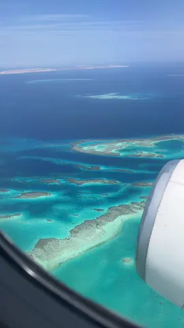 E G Y P T 🌊🐚🐠🐬 a bucketlist destination for all the sea lovers out there!!  #egypt #habibicometoegypt #snorkeling #bluesea #diving #allinclusive 