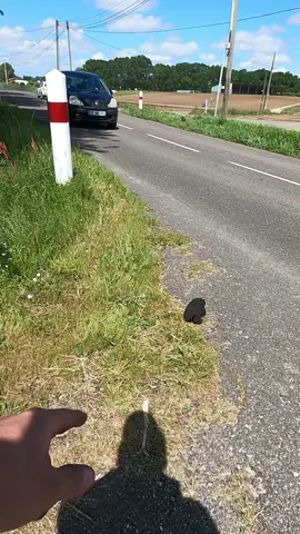 It took me 3 hours to clean it #asmr #satisfying 