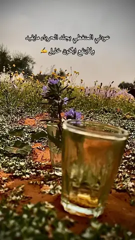 #ترهونة #جنزور #تاجوراء #طرابلس_ليبيا #بنغازي_طرابلس_ترهونه_رجمة_سرت_طبرق تصميمي وكلام لها الآف المعاني 