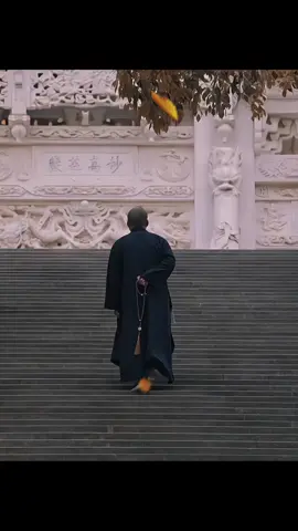 Bài học về Yêu Thương. #phatphapnhiemmau #radiotinhtam #phatphap #phat #cuocsong 