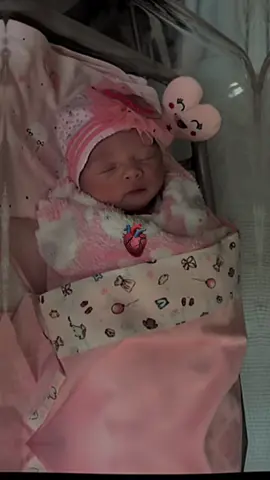 👸👨‍👩‍👧Честит първи рожден ден, скъпа моя 👸 принцесо😘🥳💋💋💋 Пожелавам ти твоя детски свят да бъде изпълнен с много игри, веселие, смях и всичко останало, което ще те накара да изживееш най-хубавите си фантазии Бъди нашето слънце и продължавай да ни радваш всеки Божи ден с присъствието си и тази невероятна усмивка. Обичаме те!❤️‍🩹🍰🎂❤️‍🔥❤️🩷🫶🫶🫶🫶🫶🫶 липсваш ми  грозно @🎀_TODOROVA_🎀 @Skorpiw 🦂  pedo @𝚗𝚊𝚗𝚝𝚒𝚊_𝚝𝚘𝚍𝚘𝚛𝚘𝚟𝚊 