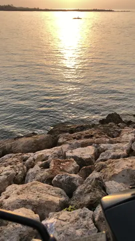 انا بالفعل احبه كثيرا لد ر جة انني نسيت كيت انساه 