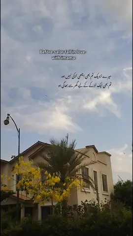 Salar&imama 🥺🫀 #aesthetic #aestheticvideos #sadedits #sadvibes #peerekamil #novel #salarsikander #imamahashim #qoutes #lines #viral #grow #syco 