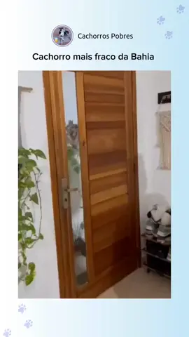 #psmanjos #fy #fyp #fypシ #fypage #fypシ゚viral #primeiropasso #bocade09 #cavernafestproducoesoficial #meme #antonyegabriel #cachorro #terreiro #terreirodeumbanda 