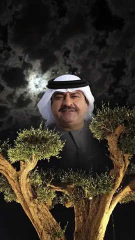 الصراحة انت لي راحه 🌸 #ميحد_حمد #مها_m100 #ستوريات #شيلات2024 #اغاني2024 #تصميم_فيديوهات #اكسبلورر #الامارات #ستوري 