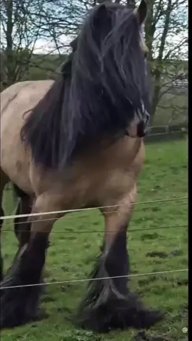 ANGAS MO TALAGA MASTER JHO HAHAHAHAHAAHAJAJA  #BINI #bini_jhoanna #biniph #bini #trending #funnyvideos 