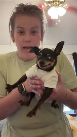 @Kaylee Staton somethings wrong with your squirrel. #viralvideo #squirrel #stickemup #fyp @Kaylee Staton 