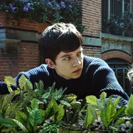 #JACOBPORTMAN || #missperegrineshomeforpeculiarchildren #asabutterfield #asabutterfieldedit #missperegrineshomeforpeculiarchildrenedit #asabop #jacobportmanedit #ellapurnell #ellapurnelledit #emmabloom #emmabloomedit #edit #fyp #fypシ #qpxtaep 