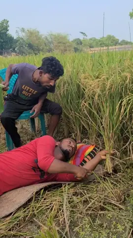 সরকারি কাজের একটু নমুনা#foryou #foryoupage #funnyvideos #tiktok #tiktokofficial #শেষ_পর্যন্ত_দেখুন_ভিডিওটা 