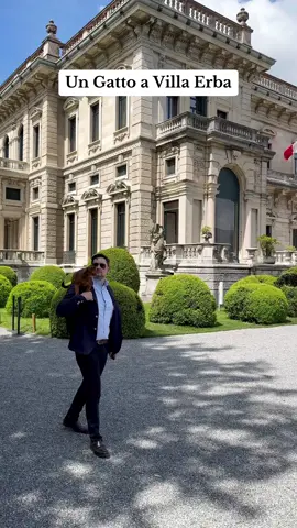 Un Gatto a Villa Erba