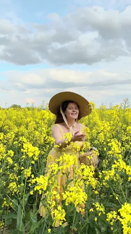 Fields of gold 🌼🌾 #jessakae #rapeseedfield #springflowers #vintagestyle #cottagecore 