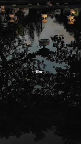 stillness. #CapCut #stills #stillness #calmmusic #calm #peaceandquiet #peace #fyp #capcutedit #silent 