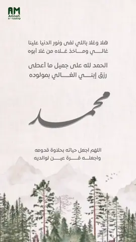 بشارة مولود بإسم محمد ( حفيد الجدة ) بدون حقوق 🤍✨ #مونتاج #حفيدي #مولود #مولود_جديد #بشارة #مونتاج #حفيد #بشارة #بشارة_مولود 