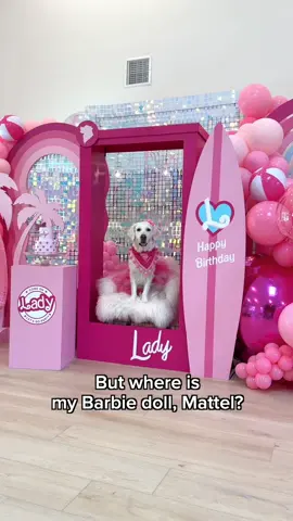 Help! What theme should be Lady’s next birthday party?🐶 #dogbirthday #barbie #firstborn #spoileddog #dogsoftiktok 