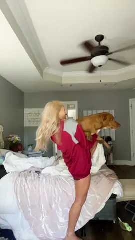 I dont reccomed with a 60 pound dog 