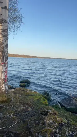 asse patte😝💓 #fördig #fypシ 