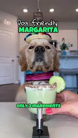 On today’s episode of dog recipe #asmr 🎤 MARGARITAS 🥒💃🍹 Do you think she liked it? ✨SHARE✨ with someone who needs to see this #doglover #asmrsounds #goldenretriever 