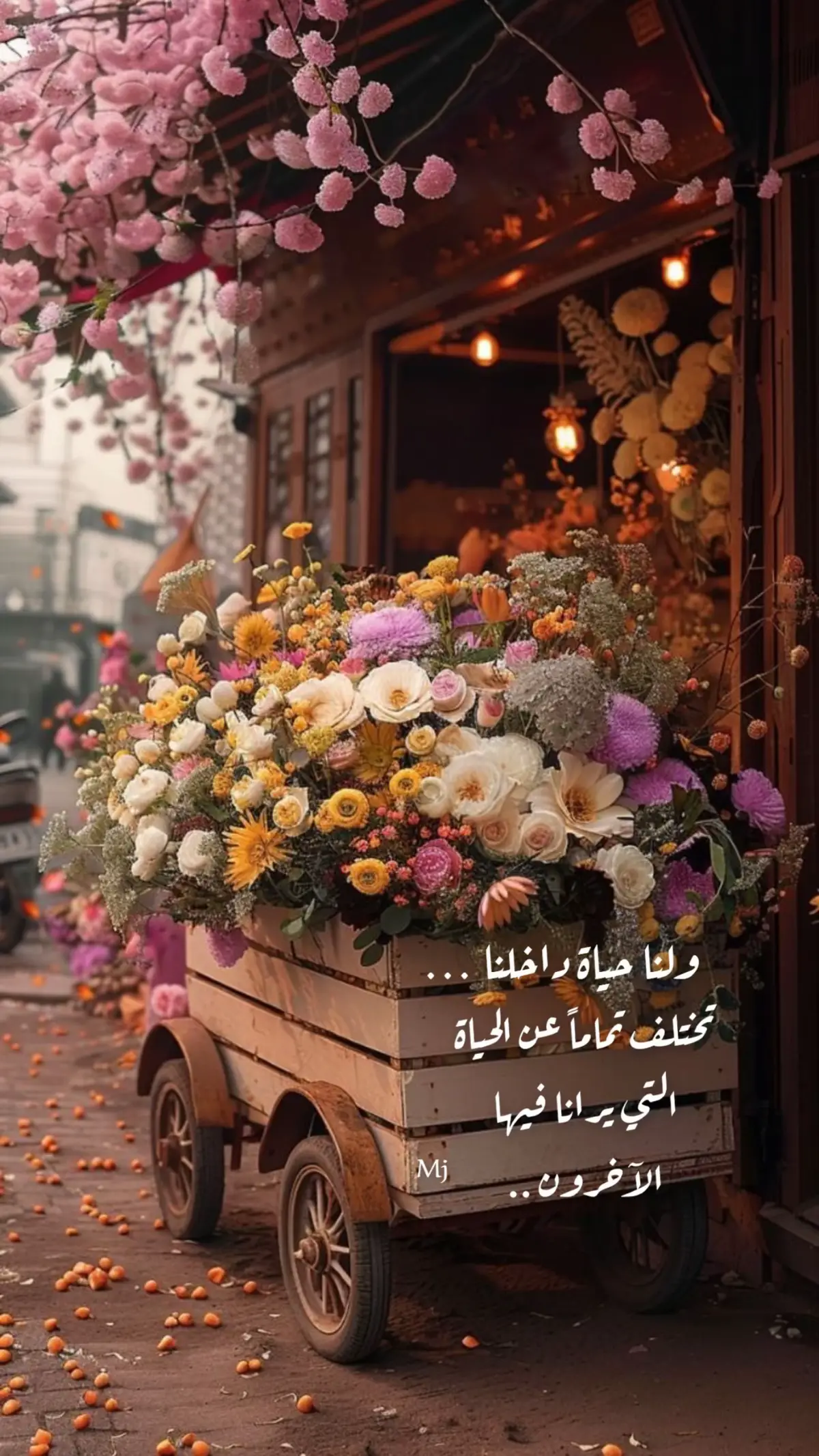 #أنا دائماً بخير مهما أختلف الشعور ومهما كانت الظروف ستجد ذات الاجابة نفسها #اقتباسات_عبارات_خواطر #اكسبلور_explore #ميما 