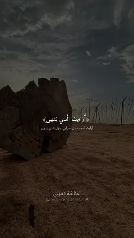 القارئ عكاشة كميني ✨ #عكاشة_كميني #سورة_العلق #القران #راحة_نفسية #ذكر_الله #اكتب_شي_توجر_عليه #🤍 #اكسبلورexplore 