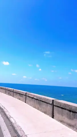 Cung đường biển cũng xinh 😊😊#xuhuongtiktok #beachvibes #summervibes #vungtautrip 