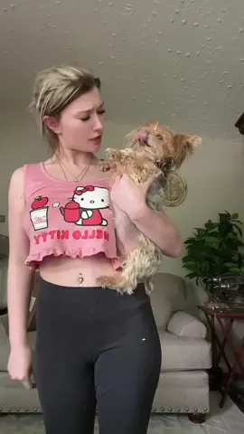 #fypシ #yorkie 