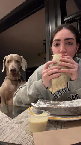 Chipolte mukbang #chipotle #food #Foodie #mukbang #mukbangeatingshow #foodtiktok #chipotlemukbang #dogs #fyp #dogsofttiktok #cutedogsoftiktok #foryoupage #dogsvideo 