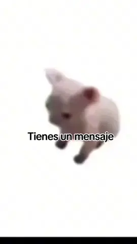 tienes un mensaje #fyyyyyyyyyppppppppp #pinchetiktokponmeenparati 