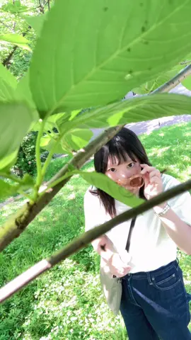 気づかれちゃったよPart31 #きまま夫婦 #嫁 #天然 