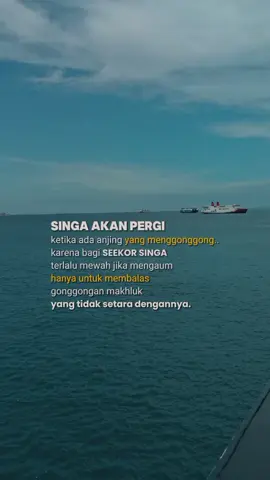 Males ga sih ladenin omongan orang yg selalu julid n iri.. iri tanda ga mampu.. kita mah cuekin aja, biar dia tambah panas hati #quotes  #katabijak  #CapCut 