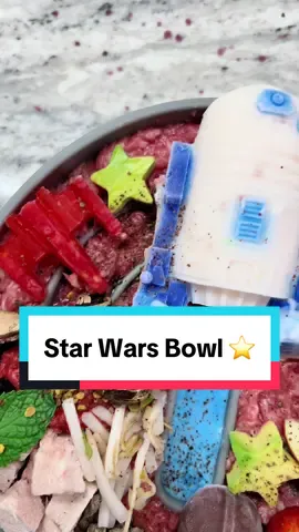 ᴍᴀʏ ᴛʜᴇ ꜰᴏᴜʀᴛʜ ʙᴇ ᴡɪᴛʜ ʏᴏᴜ 🌌✨ In a kitchen not so far away, watch as I craft a special Star Wars themed raw meal for my furry co-pilot Ace. From Chew-bacca pork to Stormtrooper veggies, every ingredient is infused with the Force to fuel his inner Jedi! @Raw Performance Dog Food 