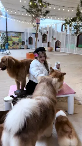 làm thì ít chữa lành thì nhiều ^^ #pthy 