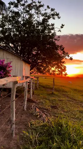 #nascerdosol #fazenda #sitio #lugarlindo #pazreina 