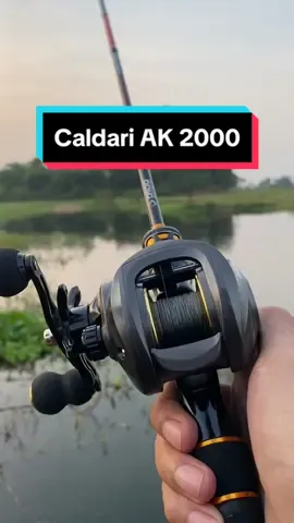 Reel BC super cakep dibawah 200ribu!! #mancing #mancingmania 