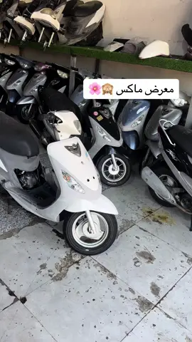 #علي_الموسوي #دراجات_نارية_لاتعرف_القانون #وكاله #منغولي #ابيض#مميز#وردي 
