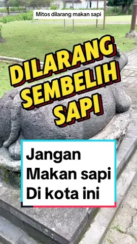 Part : 25 || chapter : kisah sejarah Ada yang unik di kota kudus jawa tengah mereka memiliki tradisi tidak menyembelih dan memakan sapi di sana karena pengaruh dari ajaran islamisasi di kudus. Sapi sebagai binatang sakral bagi masyarakat hindu jawa diberikan apresiasi secara khusus oleh sunan kudus untuk keberhasilan dakwah #tiktok #sejarah #sejarahkudus #kotakudus #heritagedate #kudus #sunankudus #hindujawa