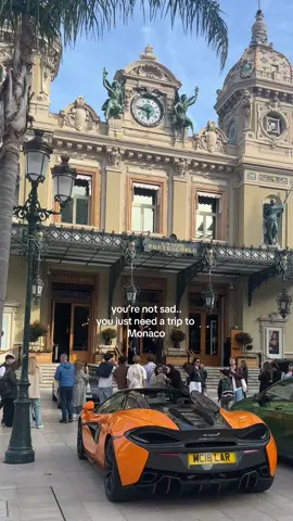 Trip to monaco fixes everything #fyp #monaco #universityofmonaco #studyabroad 