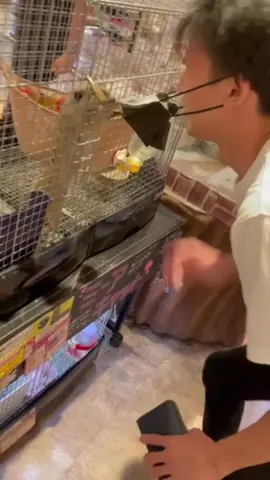 ミーアキャットにマスク外されることある？#友達が面白すぎる 