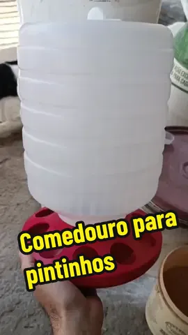 comedouro para pintinhos #animal #ovos #agro #sitio 