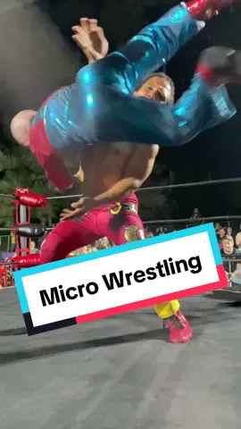 Micro Wrestling | Heavy Metal Mario wins the triple-threat match in Benton, KY! Thanks to all the fans who braved the rain. #microwrestling #prowrestling 