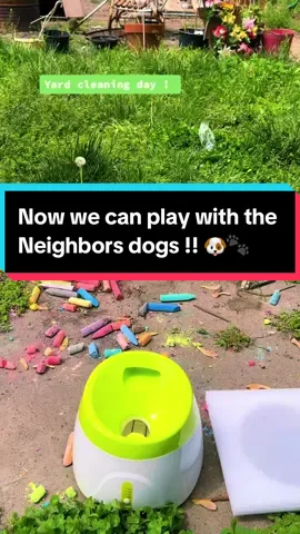 Yard cleaning day! My girls love playing with the neighbors dogs and of course, our dogs love interacting with them through the fence. My girls loved this  automatic ball, launcher!   And of course, I love the fact that it’s rechargeable and no batteries are needed !!! #s#saturday#w#weekendn#neighborsc#cleaningd#dogt#toyk#kidsp#playinge#enjoyingb#balll#launcherf#funt#tiktokshopp#petsoftiktokm#mothersdaygiftm#mothersday