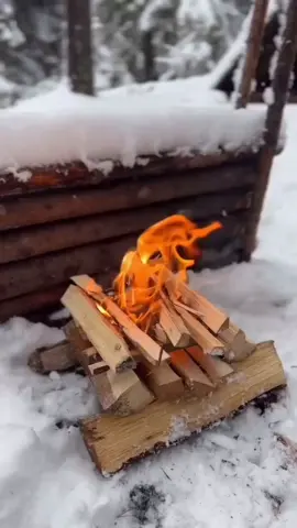 Bushcraft fire 🔥 Credit 📸 - ig @bushcrafttt_book #nature #adventure #camping #Outdoors #Hiking #wilderness #explore #wanderlust #campinglife #outdoorlife #campsite #campfire #bushcraft #fyp #camperscorner 
